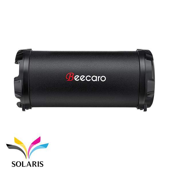 speaker-beecaro-s41b